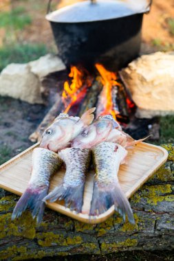 Açık ateşte hazırlanmış balık çorbası. Çaydanlıkta açık ateşte balık çorbası pişirmek. Turizm ve balıkçılıkta yemek pişirmek