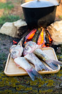 Açık ateşte hazırlanmış balık çorbası. Çaydanlıkta açık ateşte balık çorbası pişirmek. Turizm ve balıkçılıkta yemek pişirmek