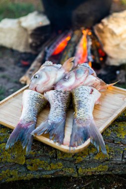 Açık ateşte hazırlanmış balık çorbası. Çaydanlıkta açık ateşte balık çorbası pişirmek. Turizm ve balıkçılıkta yemek pişirmek