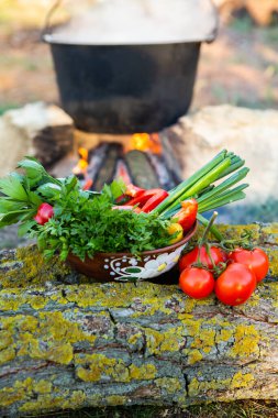 Açık ateşte hazırlanmış balık çorbası. Çaydanlıkta açık ateşte balık çorbası pişirmek. Turizm ve balıkçılıkta yemek pişirmek