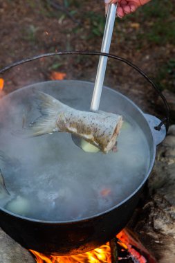 Açık ateşte hazırlanmış balık çorbası. Çaydanlıkta açık ateşte balık çorbası pişirmek. Turizm ve balıkçılıkta yemek pişirmek