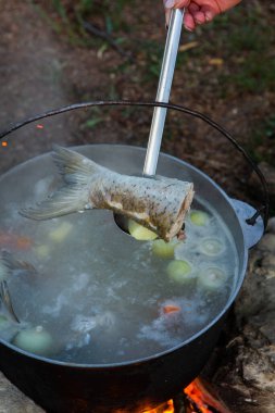 Açık ateşte hazırlanmış balık çorbası. Çaydanlıkta açık ateşte balık çorbası pişirmek. Turizm ve balıkçılıkta yemek pişirmek