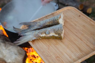 Açık ateşte hazırlanmış balık çorbası. Çaydanlıkta açık ateşte balık çorbası pişirmek. Turizm ve balıkçılıkta yemek pişirmek