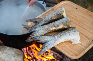 Açık ateşte hazırlanmış balık çorbası. Çaydanlıkta açık ateşte balık çorbası pişirmek. Turizm ve balıkçılıkta yemek pişirmek