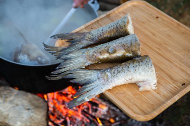 Fish soup prepared over an open fire. Cooking fish soup over an open fire in a kettle. Cooking in hiking tourism and fishing clipart