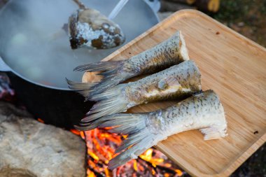 Açık ateşte hazırlanmış balık çorbası. Çaydanlıkta açık ateşte balık çorbası pişirmek. Turizm ve balıkçılıkta yemek pişirmek