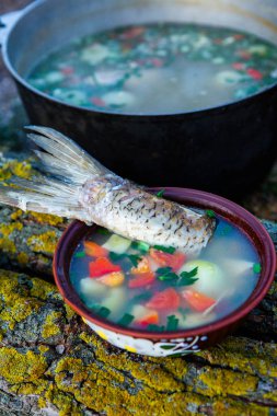 Açık ateşte hazırlanmış balık çorbası. Çaydanlıkta açık ateşte balık çorbası pişirmek. Turizm ve balıkçılıkta yemek pişirmek