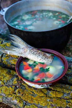 Açık ateşte hazırlanmış balık çorbası. Çaydanlıkta açık ateşte balık çorbası pişirmek. Turizm ve balıkçılıkta yemek pişirmek