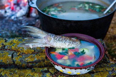 Açık ateşte hazırlanmış balık çorbası. Çaydanlıkta açık ateşte balık çorbası pişirmek. Turizm ve balıkçılıkta yemek pişirmek