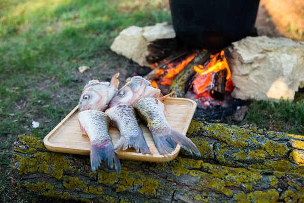 Açık ateşte hazırlanmış balık çorbası. Çaydanlıkta açık ateşte balık çorbası pişirmek. Turizm ve balıkçılıkta yemek pişirmek