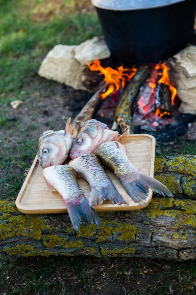 Açık ateşte hazırlanmış balık çorbası. Çaydanlıkta açık ateşte balık çorbası pişirmek. Turizm ve balıkçılıkta yemek pişirmek