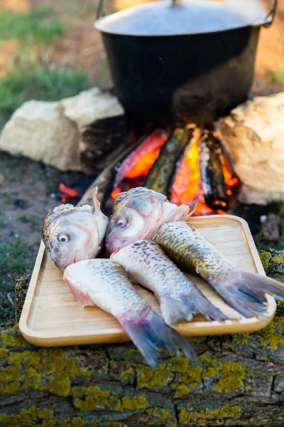 Açık ateşte hazırlanmış balık çorbası. Çaydanlıkta açık ateşte balık çorbası pişirmek. Turizm ve balıkçılıkta yemek pişirmek