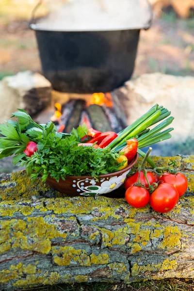 Açık ateşte hazırlanmış balık çorbası. Çaydanlıkta açık ateşte balık çorbası pişirmek. Turizm ve balıkçılıkta yemek pişirmek