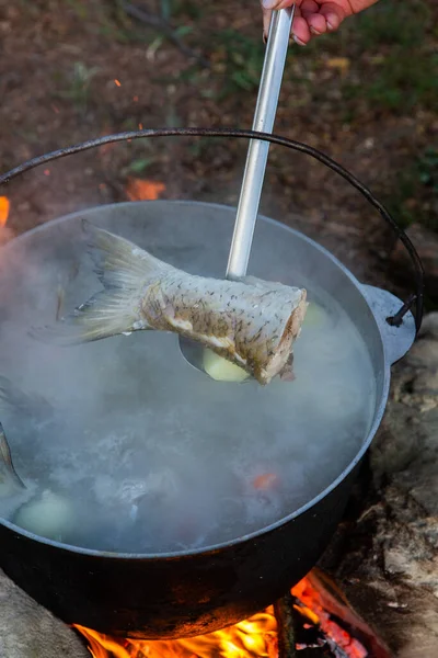 Açık ateşte hazırlanmış balık çorbası. Çaydanlıkta açık ateşte balık çorbası pişirmek. Turizm ve balıkçılıkta yemek pişirmek
