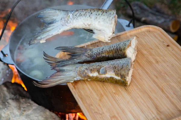Açık ateşte hazırlanmış balık çorbası. Çaydanlıkta açık ateşte balık çorbası pişirmek. Turizm ve balıkçılıkta yemek pişirmek