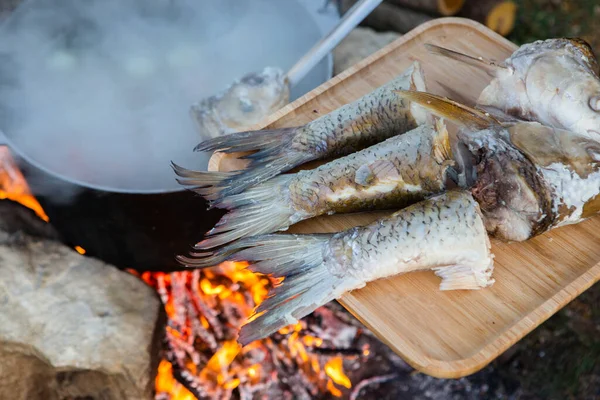 Açık ateşte hazırlanmış balık çorbası. Çaydanlıkta açık ateşte balık çorbası pişirmek. Turizm ve balıkçılıkta yemek pişirmek