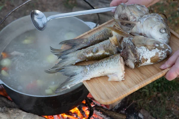 Açık ateşte hazırlanmış balık çorbası. Çaydanlıkta açık ateşte balık çorbası pişirmek. Turizm ve balıkçılıkta yemek pişirmek