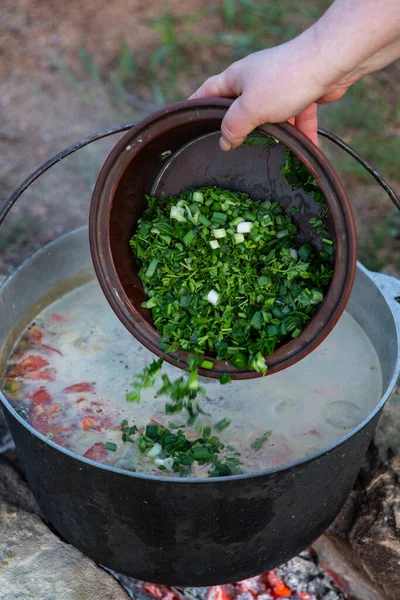 Açık ateşte hazırlanmış balık çorbası. Çaydanlıkta açık ateşte balık çorbası pişirmek. Turizm ve balıkçılıkta yemek pişirmek