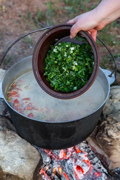 Açık ateşte hazırlanmış balık çorbası. Çaydanlıkta açık ateşte balık çorbası pişirmek. Turizm ve balıkçılıkta yemek pişirmek
