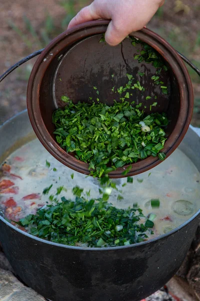 Sopa Peixe Preparada Sobre Uma Fogueira Cozinhar Sopa Peixe Sobre — Fotografia de Stock