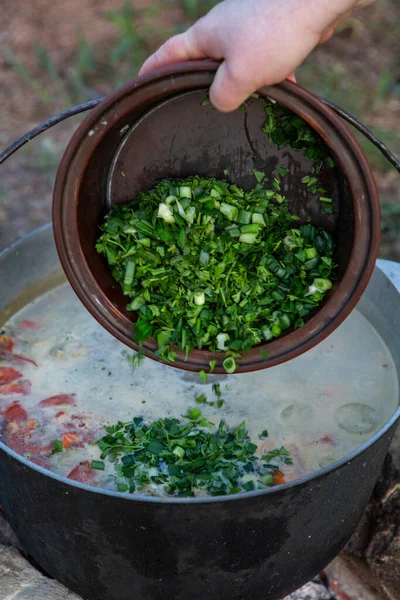 Açık ateşte hazırlanmış balık çorbası. Çaydanlıkta açık ateşte balık çorbası pişirmek. Turizm ve balıkçılıkta yemek pişirmek