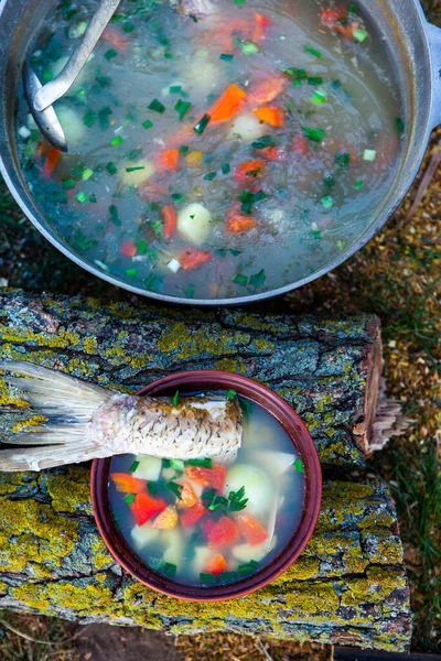 Sopa Peixe Preparada Sobre Uma Fogueira Cozinhar Sopa Peixe Sobre — Fotografia de Stock