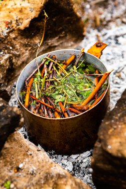 Vahşi doğada hayatta kalmak. Kamp ateşi arka planı. Ateşin üstünde vişneli çay çubuklarıyla tava. Vahşi doğada çay pişirmek....