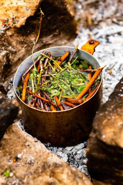 Vahşi doğada hayatta kalmak. Kamp ateşi arka planı. Ateşin üstünde vişneli çay çubuklarıyla tava. Vahşi doğada çay pişirmek....