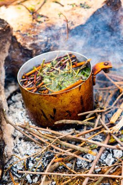 Vahşi doğada hayatta kalmak. Kamp ateşi arka planı. Ateşin üstünde vişneli çay çubuklarıyla tava. Vahşi doğada çay pişirmek....