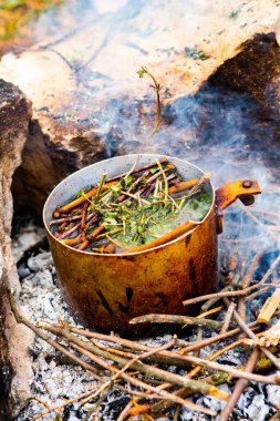 Vahşi doğada hayatta kalmak. Kamp ateşi arka planı. Ateşin üstünde vişneli çay çubuklarıyla tava. Vahşi doğada çay pişirmek....