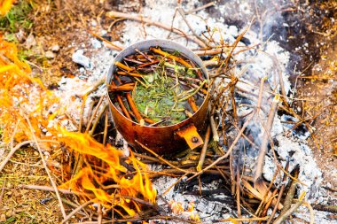 Vahşi doğada hayatta kalmak. Kamp ateşi arka planı. Ateşin üstünde vişneli çay çubuklarıyla tava. Vahşi doğada çay pişirmek....