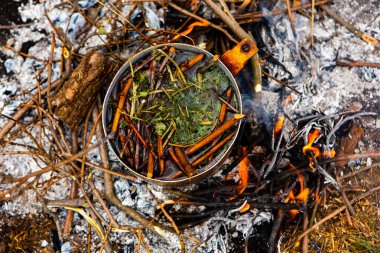 Vahşi doğada hayatta kalmak. Kamp ateşi arka planı. Ateşin üstünde vişneli çay çubuklarıyla tava. Vahşi doğada çay pişirmek....
