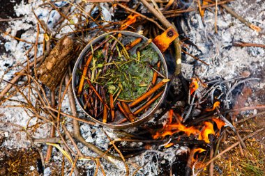 Vahşi doğada hayatta kalmak. Kamp ateşi arka planı. Ateşin üstünde vişneli çay çubuklarıyla tava. Vahşi doğada çay pişirmek....