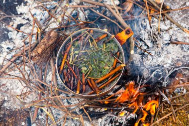 Vahşi doğada hayatta kalmak. Kamp ateşi arka planı. Ateşin üstünde vişneli çay çubuklarıyla tava. Vahşi doğada çay pişirmek....