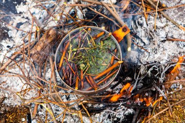 Vahşi doğada hayatta kalmak. Kamp ateşi arka planı. Ateşin üstünde vişneli çay çubuklarıyla tava. Vahşi doğada çay pişirmek....