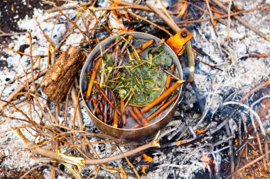 Vahşi doğada hayatta kalmak. Kamp ateşi arka planı. Ateşin üstünde vişneli çay çubuklarıyla tava. Vahşi doğada çay pişirmek....
