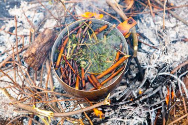 Vahşi doğada hayatta kalmak. Kamp ateşi arka planı. Ateşin üstünde vişneli çay çubuklarıyla tava. Vahşi doğada çay pişirmek....