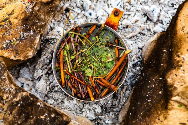 Vahşi doğada hayatta kalmak. Kamp ateşi arka planı. Ateşin üstünde vişneli çay çubuklarıyla tava. Vahşi doğada çay pişirmek....
