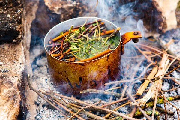 Vahşi doğada hayatta kalmak. Kamp ateşi arka planı. Ateşin üstünde vişneli çay çubuklarıyla tava. Vahşi doğada çay pişirmek....