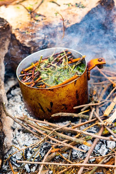 Vahşi doğada hayatta kalmak. Kamp ateşi arka planı. Ateşin üstünde vişneli çay çubuklarıyla tava. Vahşi doğada çay pişirmek....