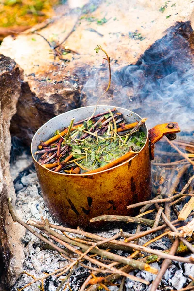 Vahşi doğada hayatta kalmak. Kamp ateşi arka planı. Ateşin üstünde vişneli çay çubuklarıyla tava. Vahşi doğada çay pişirmek....