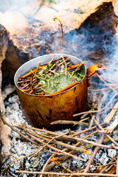 Vahşi doğada hayatta kalmak. Kamp ateşi arka planı. Ateşin üstünde vişneli çay çubuklarıyla tava. Vahşi doğada çay pişirmek....