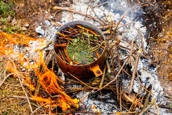 Vahşi doğada hayatta kalmak. Kamp ateşi arka planı. Ateşin üstünde vişneli çay çubuklarıyla tava. Vahşi doğada çay pişirmek....