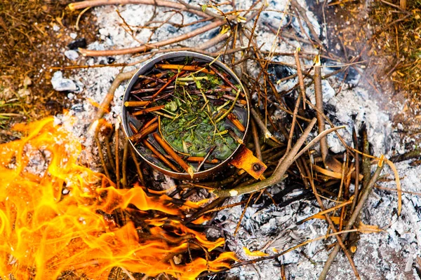 Vahşi doğada hayatta kalmak. Kamp ateşi arka planı. Ateşin üstünde vişneli çay çubuklarıyla tava. Vahşi doğada çay pişirmek....