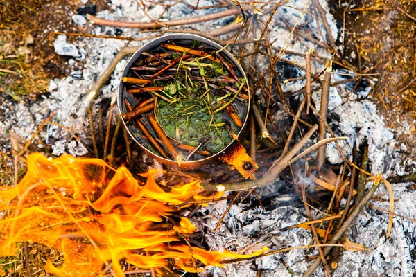 Vahşi doğada hayatta kalmak. Kamp ateşi arka planı. Ateşin üstünde vişneli çay çubuklarıyla tava. Vahşi doğada çay pişirmek....