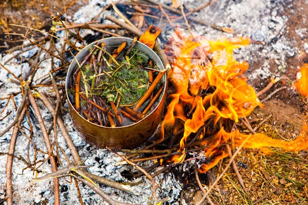Vahşi doğada hayatta kalmak. Kamp ateşi arka planı. Ateşin üstünde vişneli çay çubuklarıyla tava. Vahşi doğada çay pişirmek....