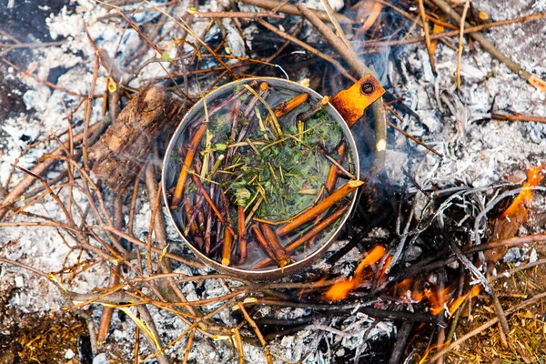 Vahşi doğada hayatta kalmak. Kamp ateşi arka planı. Ateşin üstünde vişneli çay çubuklarıyla tava. Vahşi doğada çay pişirmek....