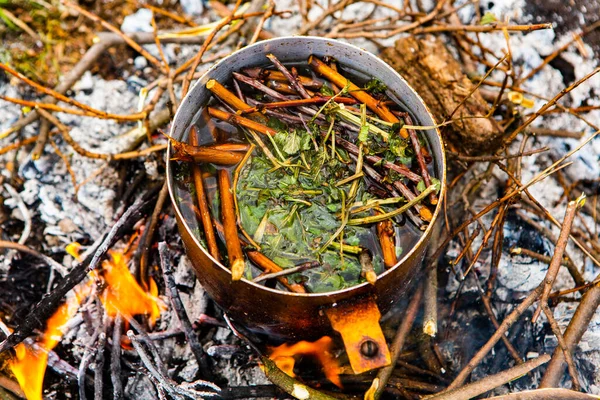 Vahşi doğada hayatta kalmak. Kamp ateşi arka planı. Ateşin üstünde vişneli çay çubuklarıyla tava. Vahşi doğada çay pişirmek....