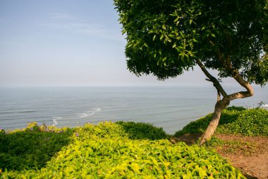 Pasifik Okyanusu, Peru 'nun başkenti Lima kıyılarını ısıtır. Latin Amerika 'nın güzel şehir doğası.