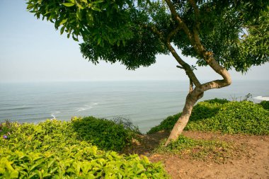 Pasifik Okyanusu, Peru 'nun başkenti Lima kıyılarını ısıtır. Latin Amerika 'nın güzel şehir doğası.